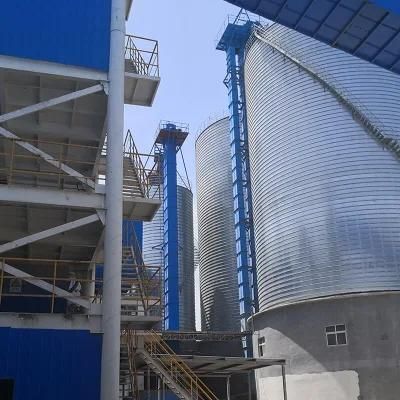 Large Capacity Bucket Elevator for Chips Packing Line