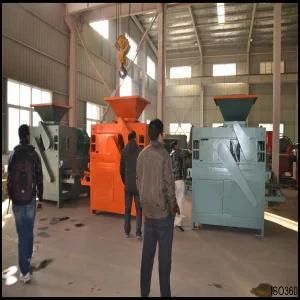 Briquette Making Line of China Famous Brand