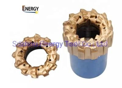 Drilling Rigs 6 Inch PDC Fixed Cutter Diamond Core Drill Bits of Hardwear Drilling Tools